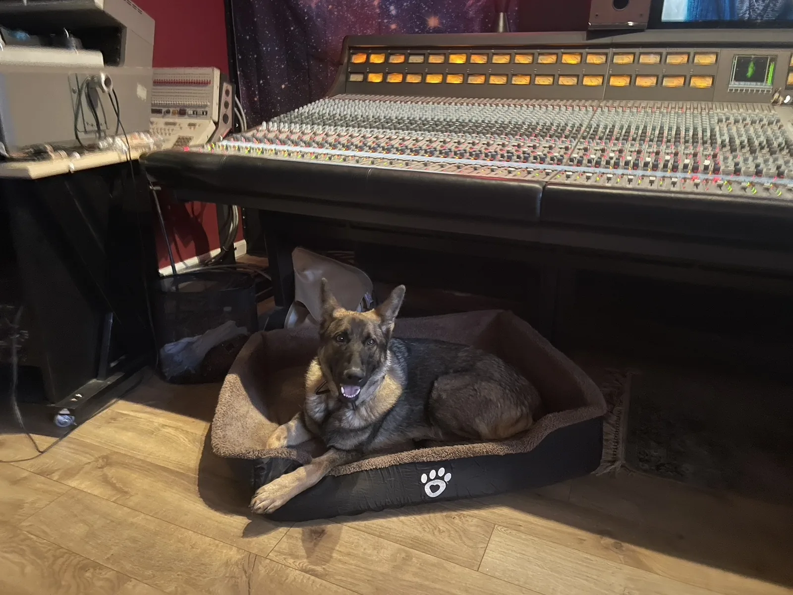 A dog resting beneath the recording console